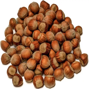 Noisette blanchie de qualité au goût naturel/Noisette à bas prix - Product Image 5