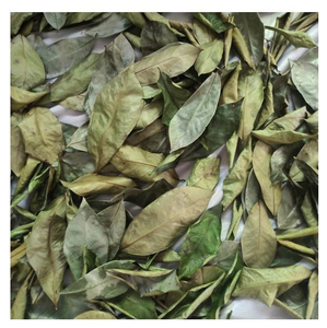 Bulk Whole Dried Soursop Leaves Packed In <b>Sealed</b> <b>Vacuum</b> <b>Bags</b> - Product Image 1
