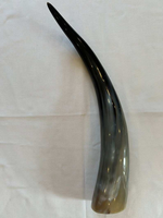 Cornes de vache naturelles polies de qualité supérieure, écologiques et faites à la main, pour la décoration et la boisson, cornes géantes authentiques pour l'artisanat et les objets de collection