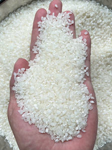 Riz à sushi à grains moyens de la meilleure qualité RIZ CALROSE provenant du Vietnam, idéal pour le riz au jasmin du marché des îles du Pacifique - Product Image 3