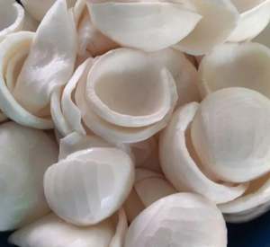 Carne de Coco Joven Congelada Especial para Bebidas - Product Image 1