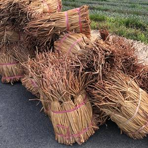 Fibra de Jacinto de Agua Cruda a Precio Competitivo de Proveedor Vietnamita, Jacinto de Agua Seco al Sol Natural - Product Image 2