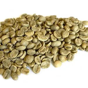 Grains de café biologiques fermentés, grade/supérieur, couleur/vert au meilleur prix