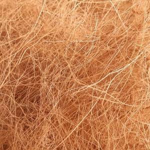 Brosses en fibres de coco écologiques de haute qualité, 75 cm, stockage à sec, source naturelle d'Indonésie, vente en gros pour usages multiples - Product Image 2