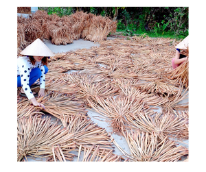Vente en gros de matériaux bruts de jacinthe d'eau séchée du Vietnam, bonnes affaires sur les produits agricoles, prêts pour l'expédition en vrac - Product Image 5