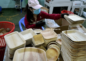 Assiettes en feuilles de palmier écologiques en matériau naturel jetables/Assiettes en feuilles de palmier jetables/Assiettes en feuilles de palmier jetables en vrac - Product Image 5