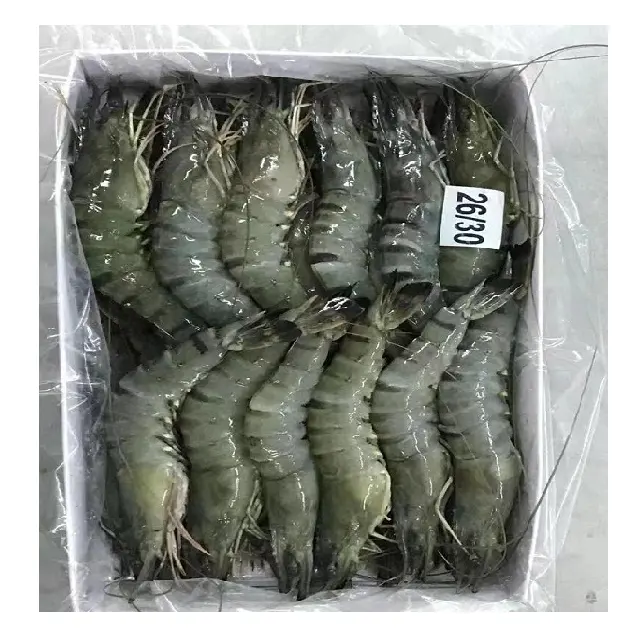 Crevettes de tigre noir congelées de qualité supérieure