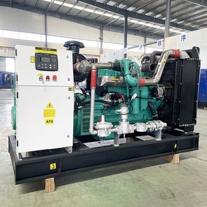 Máquina de biogás de 200Kva de alta pureza, generador de biogás de residuos de alimentos y cocina sin contaminación, 10Kw con gasificador de Gas de madera - Product Image 1