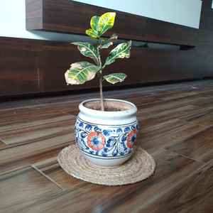 Modern Handwoven Brown Jute Large Round Rug Set with Eco-Friendly Non-Slip Reversible <b>Placemats</b> - Product Image 1