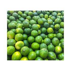 Meilleur prix pour les citrons frais cultivés au Vietnam-Citrons sans pépins d'excellente qualité avec beaucoup de jus - Product Image 2