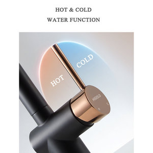 Rubinetto da Cucina Tradizionale HIGOLD BN1.0 a Leva Singola, Finitura Spazzolata in Acciaio Inox, Girevole per Acqua Calda/Fredda - Product Image 5