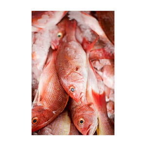 Poisson argenté frais congelé de haute mer entier avec nettoyage professionnel pour les grossistes, les détaillants et les importateurs de produits de la mer - Product Image 2