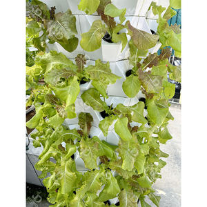 Sistemas de Cultivo Vertical Hidropónico y Torre Aeropónica para Agricultura Interior - Product Image 3