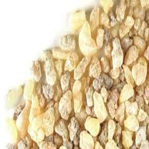 อุปทานโรงงาน Boswellia Boswellia Serrata ธูปเรซิ่น Boswellia Serrata ดิบเกรดสูงสุด - Product Image 2