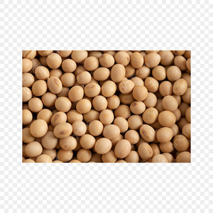Good quality soya bean for White Hilum oil , <b>soybean</b> , <b>Soybean</b> Seeds with reasonable price in VietNam FREE TAX - Product Image 6