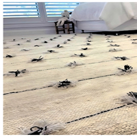 Tapis CRISTA doux soyeux lisse Shaggy tapis fait à la machine points d'étoile de mer brodé imprimé coton antidérapant tache tapis ensembles