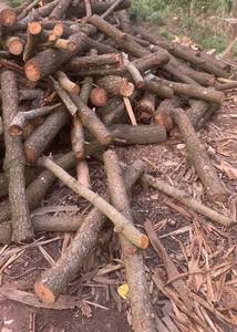 Productos de madera utilizados durante mucho tiempo - Product Image 3