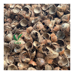 Coquilles dures de noix de coco naturelle du Vietnam pour la briquette carbonisée de carburant et le charbon de bois inodore de BBQ - Product Image 2