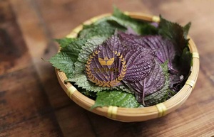 ผงทากิตาชิโซะผงทาคิเม็กส์สกัดจากใบเพอริล่าบริสุทธิ์100% ออร์แกนิกเพื่อสุขภาพ - Product Image 3