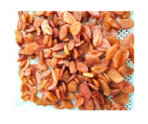 Maracuyá Deshidratada Procesada Naturalmente, Rico Sabor Tropical, Venta al por Mayor a Granel, Exportación, Proveedor de Maracuyá Deshidratada de Vietnam - Product Image 4