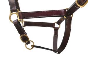 Licou écologique en cuir huileux indien de première qualité FAB avec boucle en laiton massif Taille et couleur personnalisables - Product Image 2