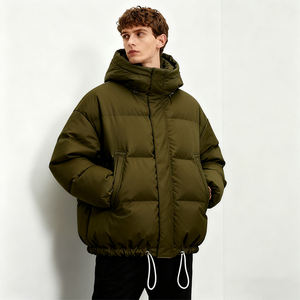 Chaqueta Acolchada de Algodón para Mujer OEM, Impermeable, para Viajes de Invierno, con Capucha, Estilo Urbano, Cuello Alto, Logotipo Frontal Personalizado - Product Image 1