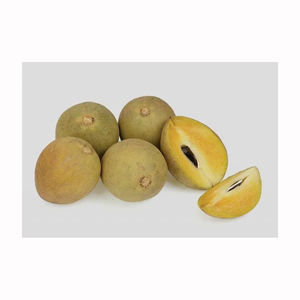 Sapota สด chikoo ผลไม้เขตร้อน - Product Image 3