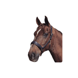 Licou en cuir de cheval en nylon personnalisé de haute qualité Origine indienne Meilleur prix Vente en gros Éphémère - Product Image 1