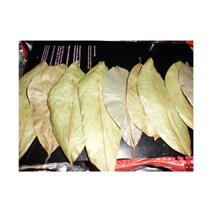 Ready to Export Dried Soursop Graviola Leaf Premium Brown Dried Soursop Leaves Type a With No Additives From 99GD - Product Image 4