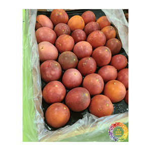 Purée de fruits de la passion fraîchement congelée sans pépins/graines de haute qualité pour les aliments et les boissons à prix compétitif du Vietnam - Product Image 2