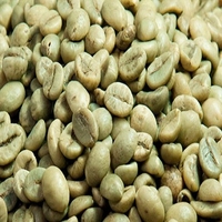Grains de café vert Robusta biologique S18 de haute qualité, export direct de l'usine TNFOOD du Vietnam