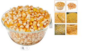 ข้าวโพดสีเหลือง/ข้าวโพดเลี้ยงสัตว์66000ตัน - Product Image 6