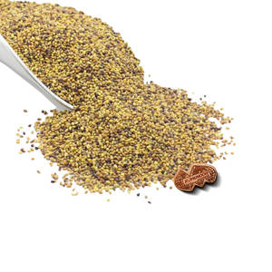 Trébol persa | Material de cultivo Verde | Para la alimentación basada en la granja - Product Image 2