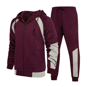 Wholesale Men's Sportswear High Quality Knitted Tracksuits Best Price Two Piece Hooded Outerwear Sets for Winter - Product Image 2