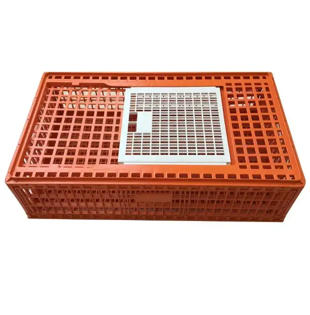 Caja de cesta de compras de fruta de plástico reciclado de alta calidad, caja de PP, CAJA PLEGABLE plegable para granja
