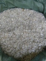 Escamas de Pescado Secas de Alta Pureza de Vietnam, Exportación a Granel para la Producción de Colágeno