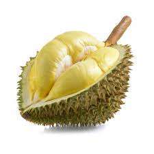 Durian séché vietnamien, fruit sucré réputé, culture sans OGM, tranches conservées en vrac, processus de conservation naturel à l'eau - Product Image 2