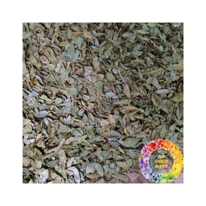 Feuilles de corossol séchées de qualité export, feuilles de corossol séchées sélectionnées pour le thé et les utilisations à base de plantes, commande en gros de feuilles de corossol séchées - Product Image 6