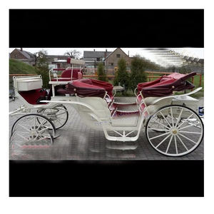 Carruajes tirados por caballos Victoria en inglés a la venta Carruajes victorianos comerciales Carruajes tirados por caballos Victoria de lujoFabricantes - Product Image 1