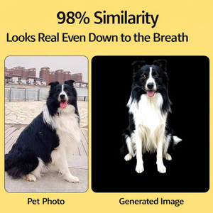 ELEVE Pet Digital Memory Display Box Acrylic Holographic Cut Design 10x10x10cm Display Case - Product Image 3