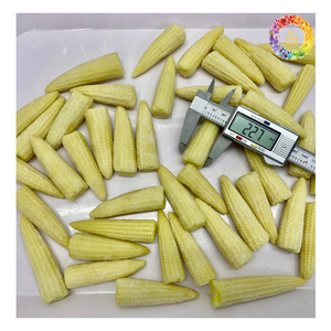 Maíz dulce congelado, maíz amarillo congelado IQF de alta calidad, maíz entero al vapor congelado, maíz bebé al vapor congelado - Product Image 6