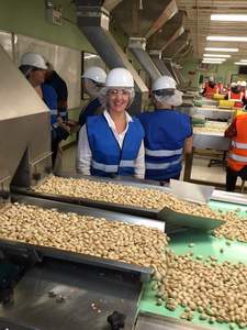 Pistachos al por Mayor a Precio de Mayoreo - Product Image 3