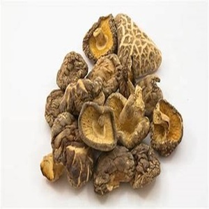 Champignons frais congelés prêts à exporter à vendre à bas prix - Product Image 2