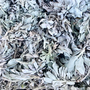 California WeiBes uso religioso terapéutico de alta calidad Rose Clary Sage Salvia para difuminar paquetes vendedores turcos al por mayor - Product Image 1