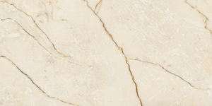 Couleurs vives Designs personnalisés planche de bois gres porcelanto Fabrication en Inde pour le hall de l'hôtel. - Product Image 2