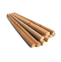 Tiges en bois massif de 10 mm de diamètre pour l'artisanat DIY, la décoration suspendue et le travail du bois - Pointe en acier au tungstène de qualité supérieure