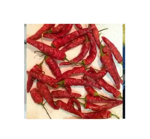 Piment rouge séché super chaud directement du Vietnam-Meilleures ventes de piment rouge aux épices et herbes