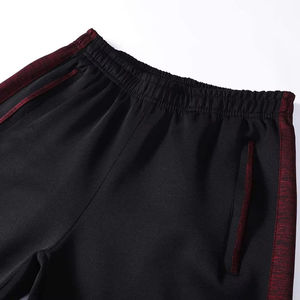 Ensemble de survêtement personnalisé pour homme, à capuche, uni, lourd, imprimé par transfert thermique, à séchage rapide, pour l'entraînement et le fitness - Product Image 3