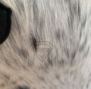 Elegante logotipo personalizado bolsos de cuero de vaca genuino bolso de mensajero cierre de cremallera resistente al agua atemporal clásico para uso diario - Product Image 3