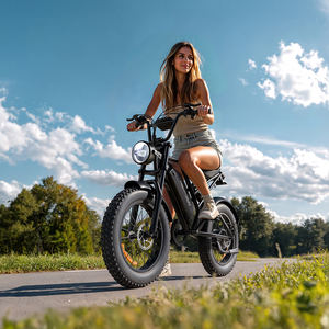 Pyg50 फ्री ड्रॉपशीपिंग इलेक्ट्रिक बाइक कार्गो ब्लैक सिटी ई-बाइक - Product Image 2